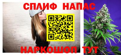 хмурый Гатчина