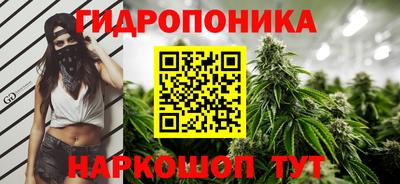 хмурый Гатчина