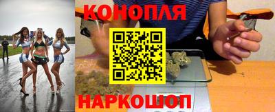 мдпв Гай
