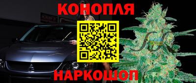 хмурый Гатчина