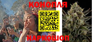 хмурый Гатчина