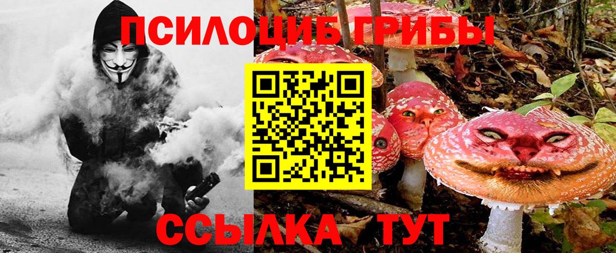 Псилоцибиновые грибы мицелий  Вход с VPN  купить  цена  Октябрьский  Псилоцибиновые грибы Psilocybine cubensis 